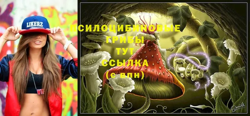 Галлюциногенные грибы мицелий  Олонец 